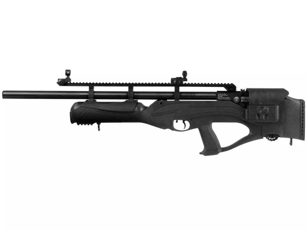 https://arizonafirearmspower.com/2013/08/29/50-cal-air-rifle/