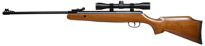 https://arizonafirearmspower.com/2025/05/19/22-caliber-pellet-gun/