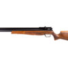 https://arizonafirearmspower.com/product/best-pellet-gun-for-squirrels/