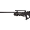 https://arizonafirearmspower.com/product/hatsan-piledriver/