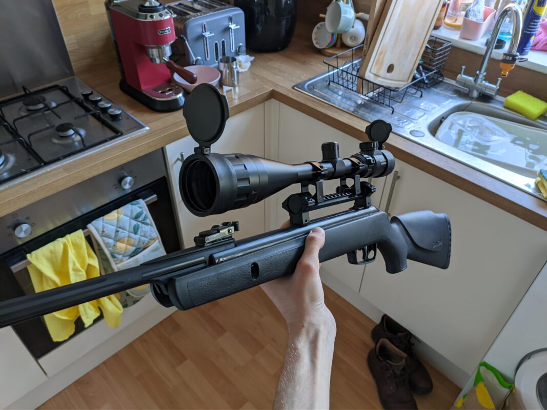 https://arizonafirearmspower.com/2014/01/01/pellet-gun-for-squirrel-hunting/
