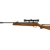 https://arizonafirearmspower.com/product/hatsan-95-air-rifle/